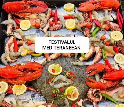 festival mediteranean baia mare 2023