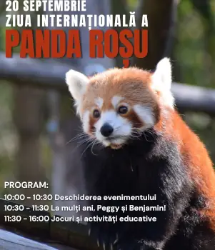 Ziua Internațională a Panda Roșu 2025 la Zoo Brașov