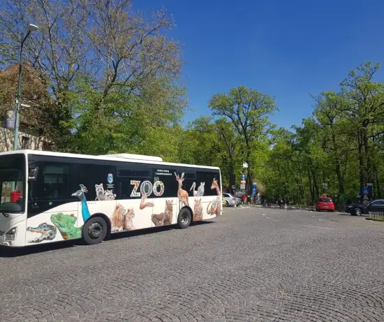 Liniile 45 și 46 revin în Târgu Mureș |