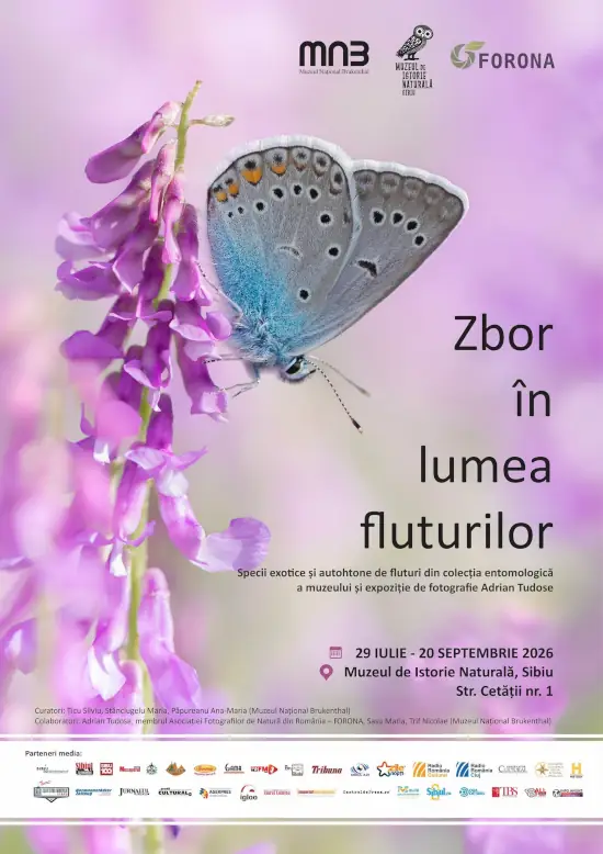 Peste 400 de specii de fluturi pot fi admirate la Sibiu