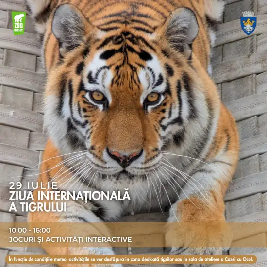 Ziua Internațională a Tigrului la Zoo Brașov: 29 iulie 2026